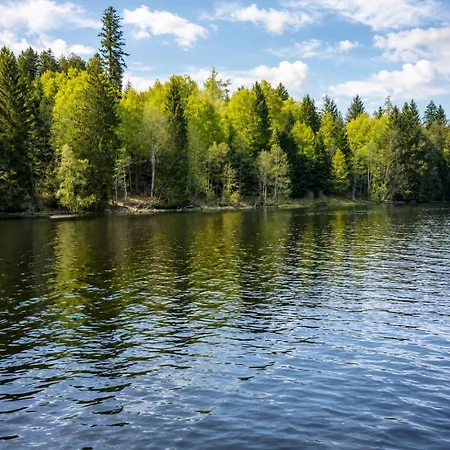 Blackhome Hunde Freundlich & Gemuetlich Schwarzwald * Titisee-Neustadt