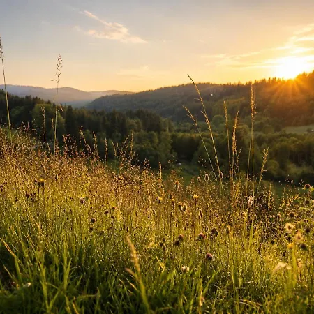 Apartament Blackhome Hunde Freundlich & Gemuetlich Schwarzwald