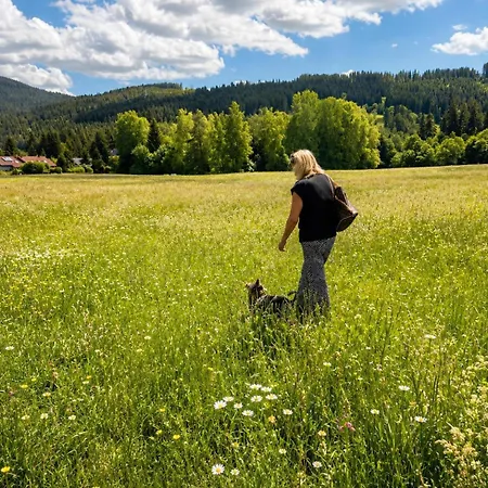 Blackhome Hunde Freundlich & Gemuetlich Schwarzwald * Titisee-Neustadt
